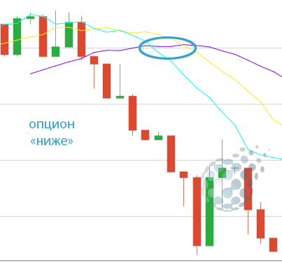 Как торгуют опционами по стратегии с индикаторами